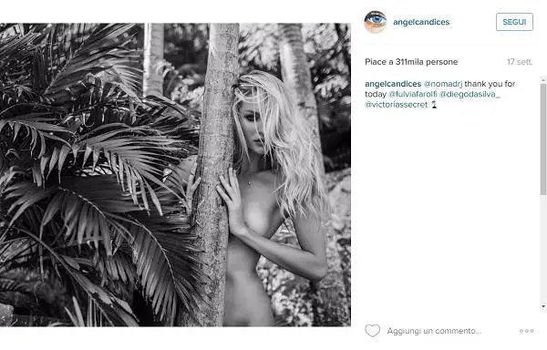 Immagine gallery