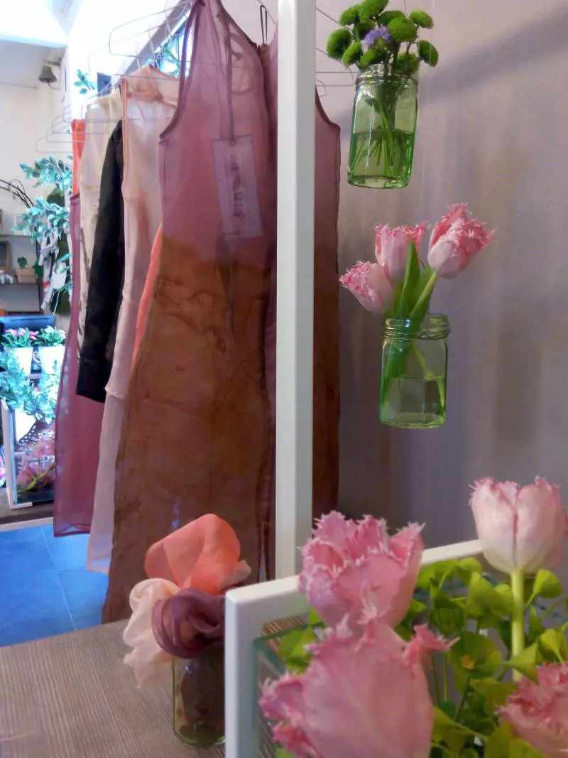 Immagine gallery
