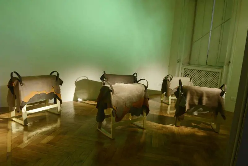 Immagine gallery
