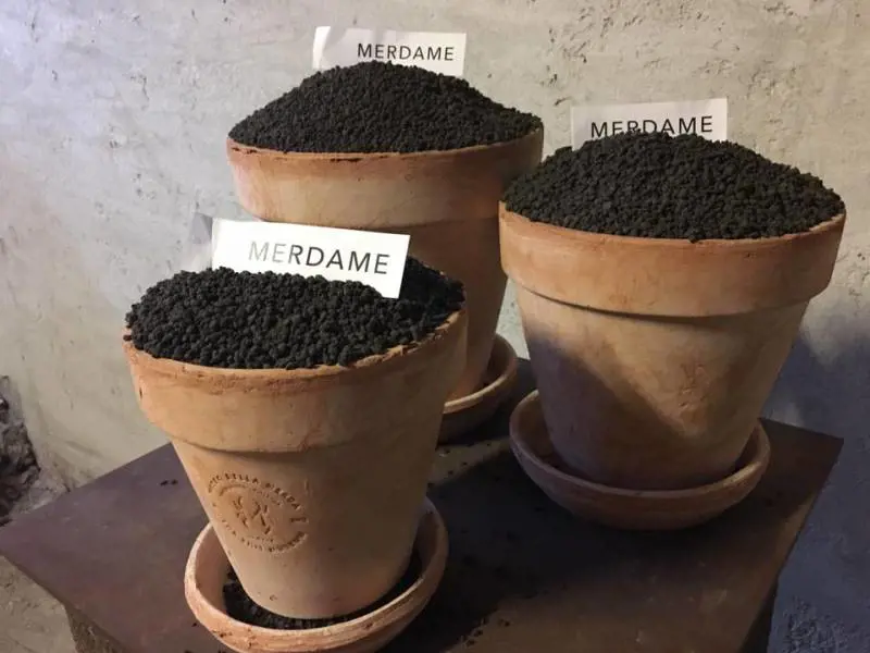 Fuorisalone, ecco il "museo dello sterco"