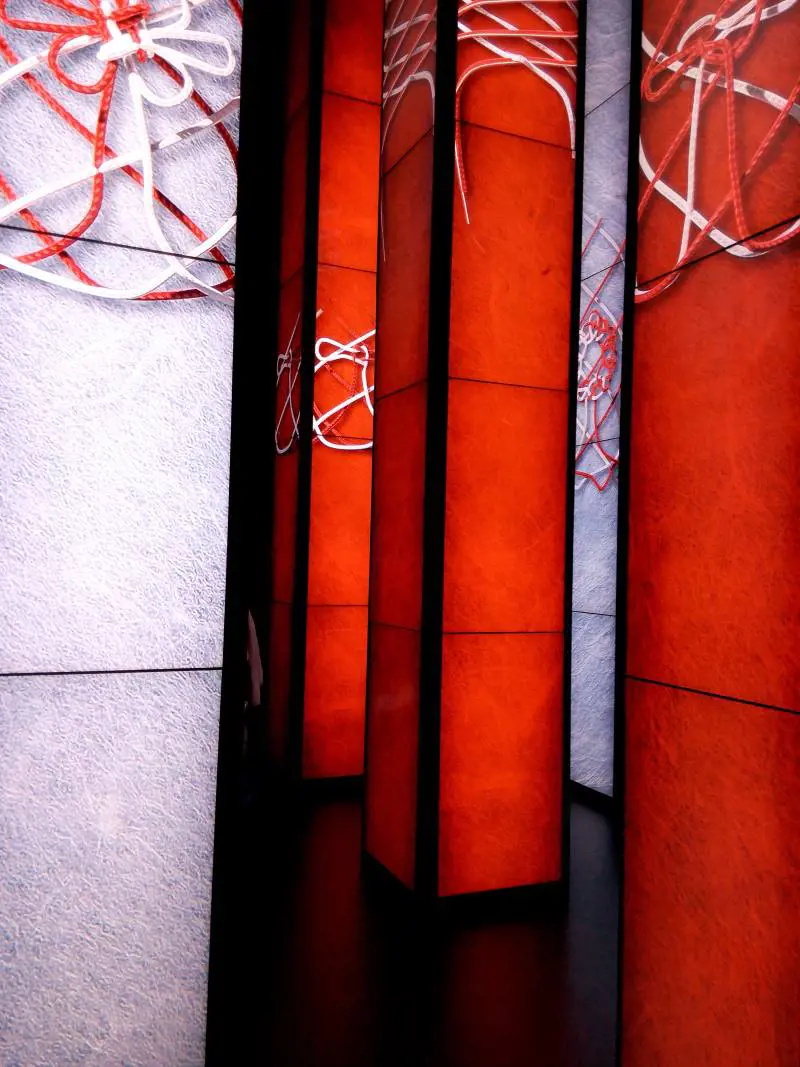 Immagine gallery