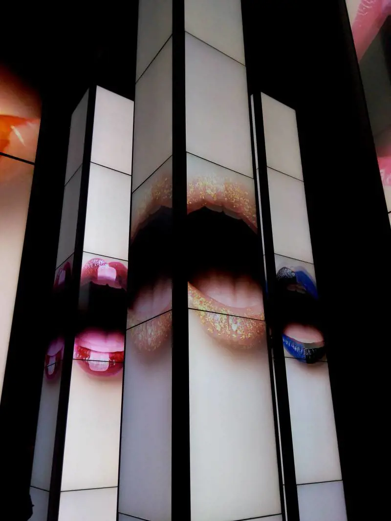 Immagine gallery