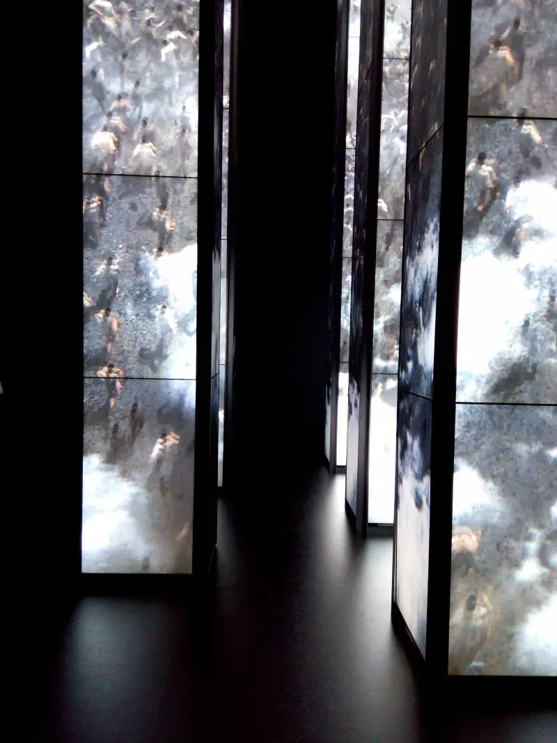 Immagine gallery