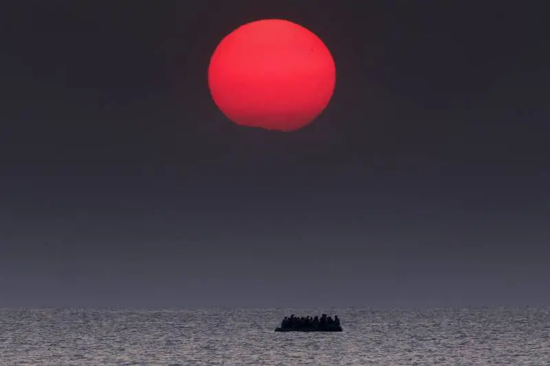 Immagine gallery