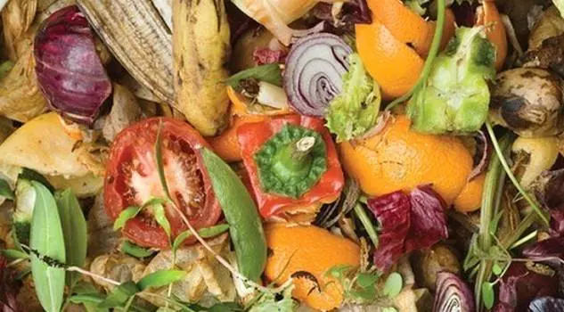 Tonnellate di cibo buttato ma la metà è commestibile