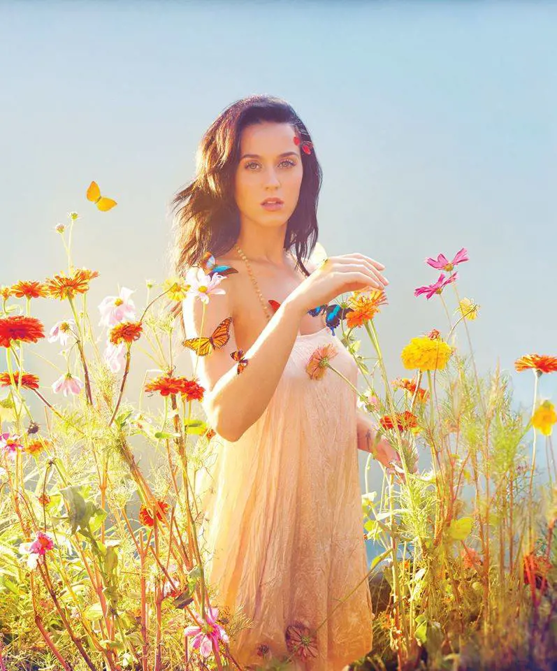 Immagine gallery