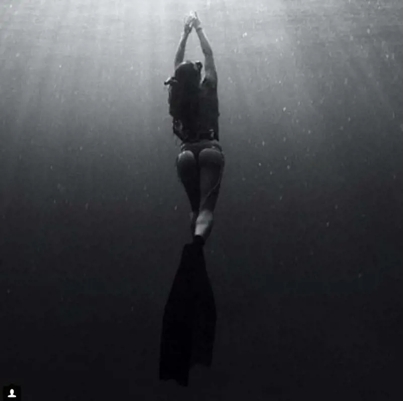 Immagine gallery