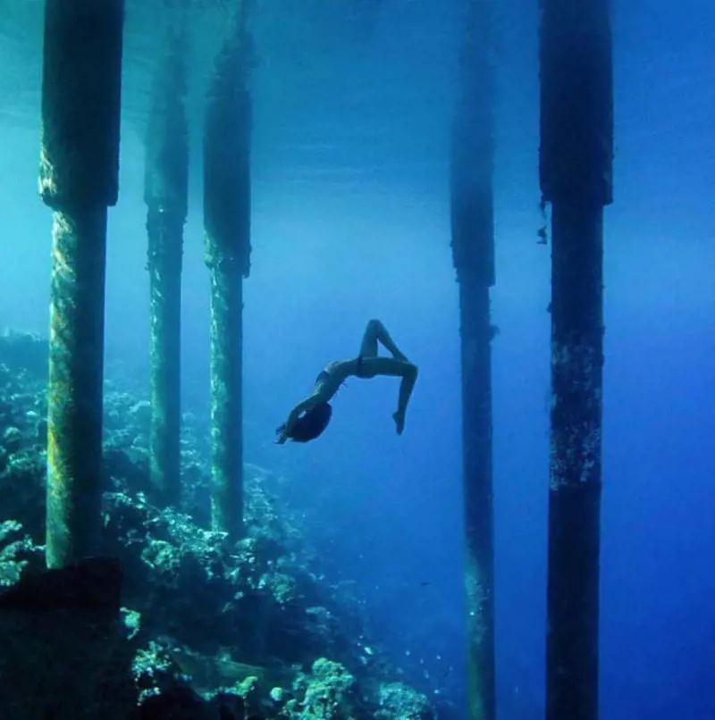 Immagine gallery