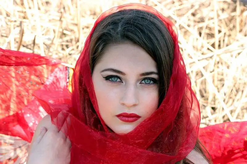Immagine gallery