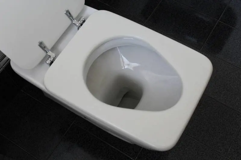Viene morso al pene mentre si trova sul WC