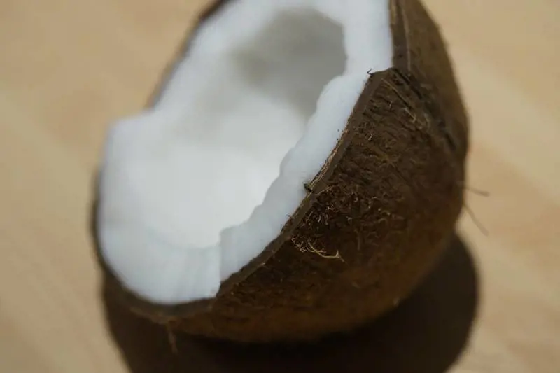 Olio di cocco, segreto di bellezza per tutto il corpo