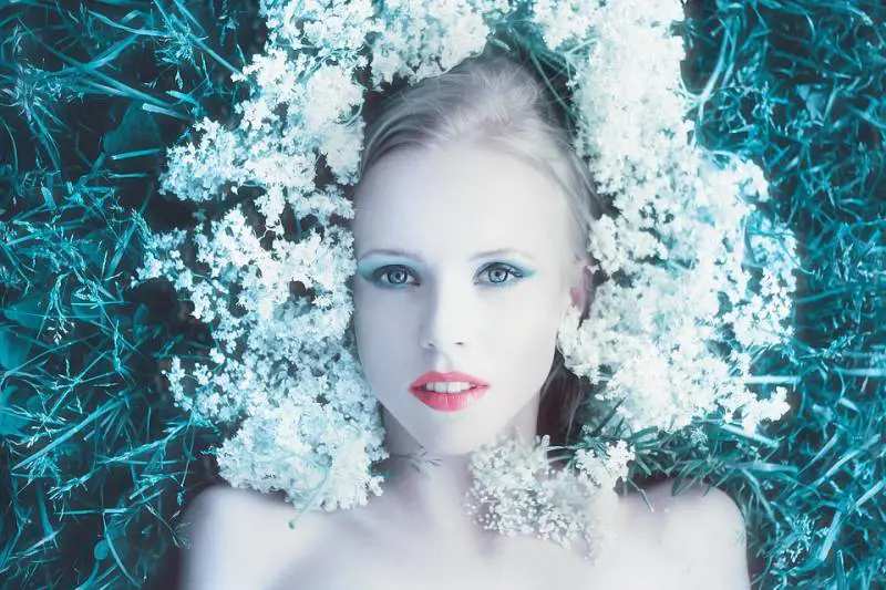 Immagine gallery