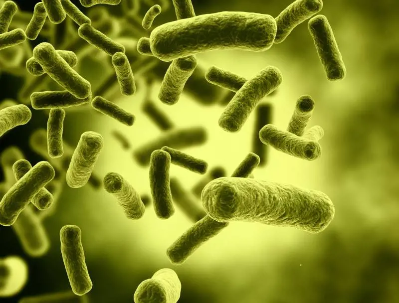 Torna da una vacanza e muore di Escherichia coli 