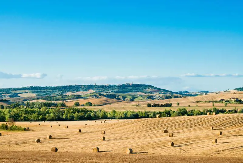 Stato, partito e ambientalisti sono la peste dell'agricoltura