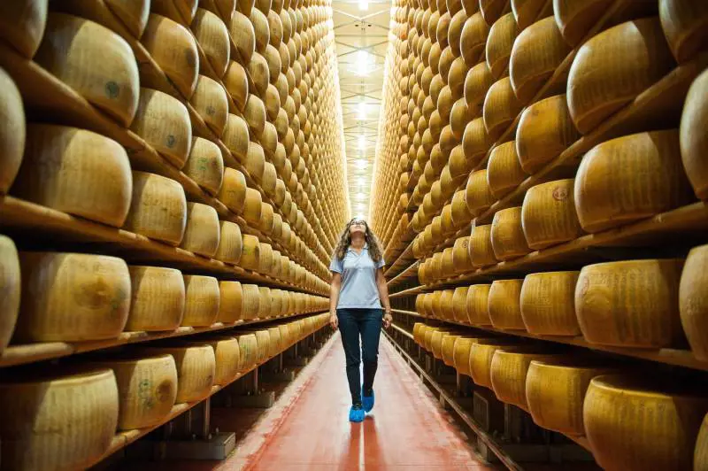 Travel blogger: reportage su food, motori e arte lungo la via Emilia