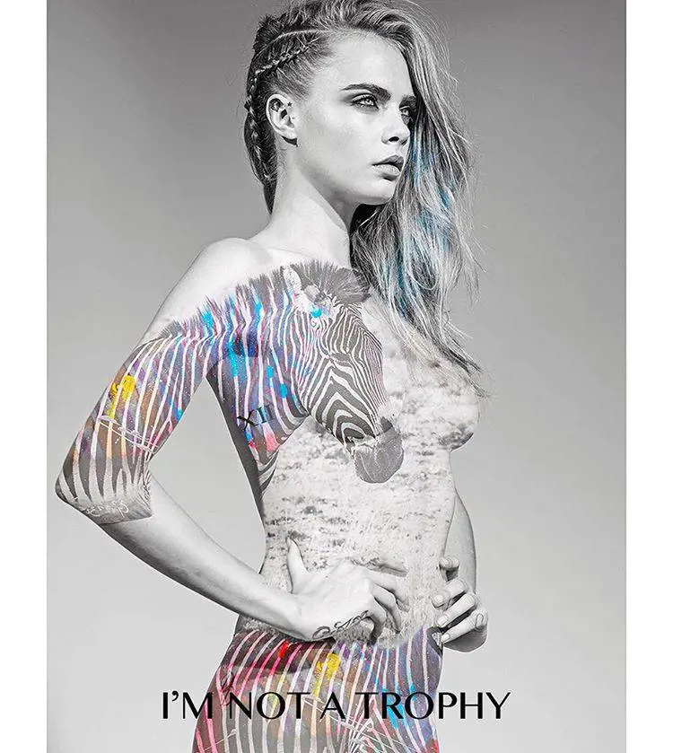 Immagine gallery