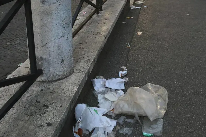 Nuovo incubo per Roma: i serpenti nascosti fra i rifiuti