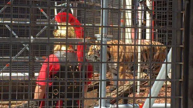 A Berlino spunta un'arena con le tigri per "mangiare" i rifugiati