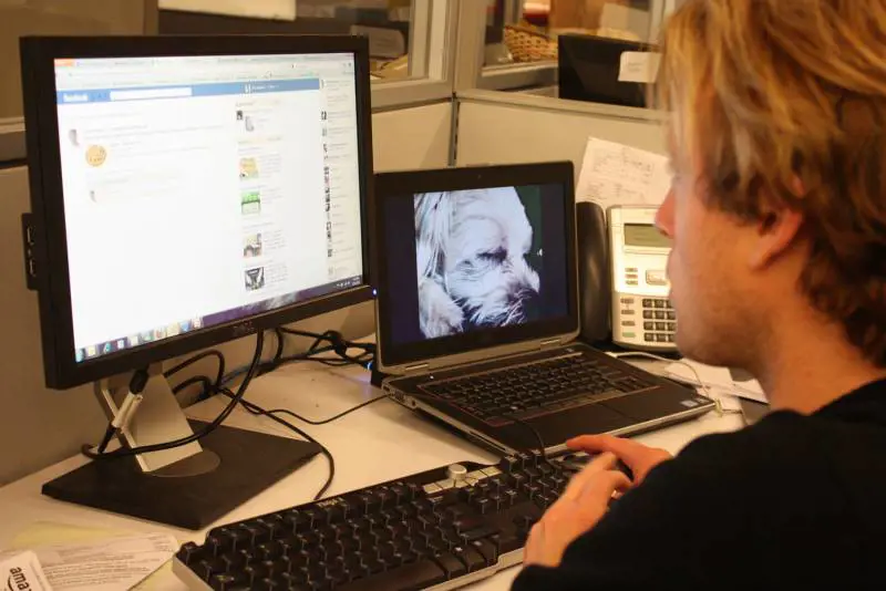 "Per entrare negli Stati Uniti servirà Facebook"