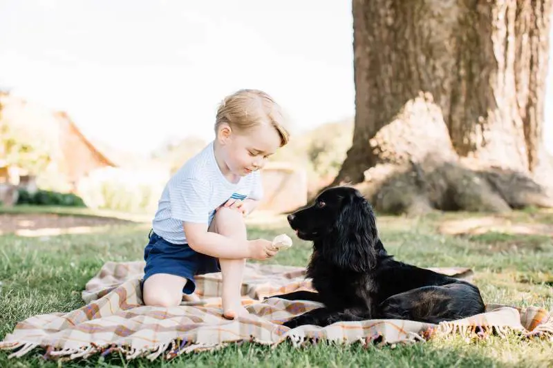 Il principe George compie tre anni