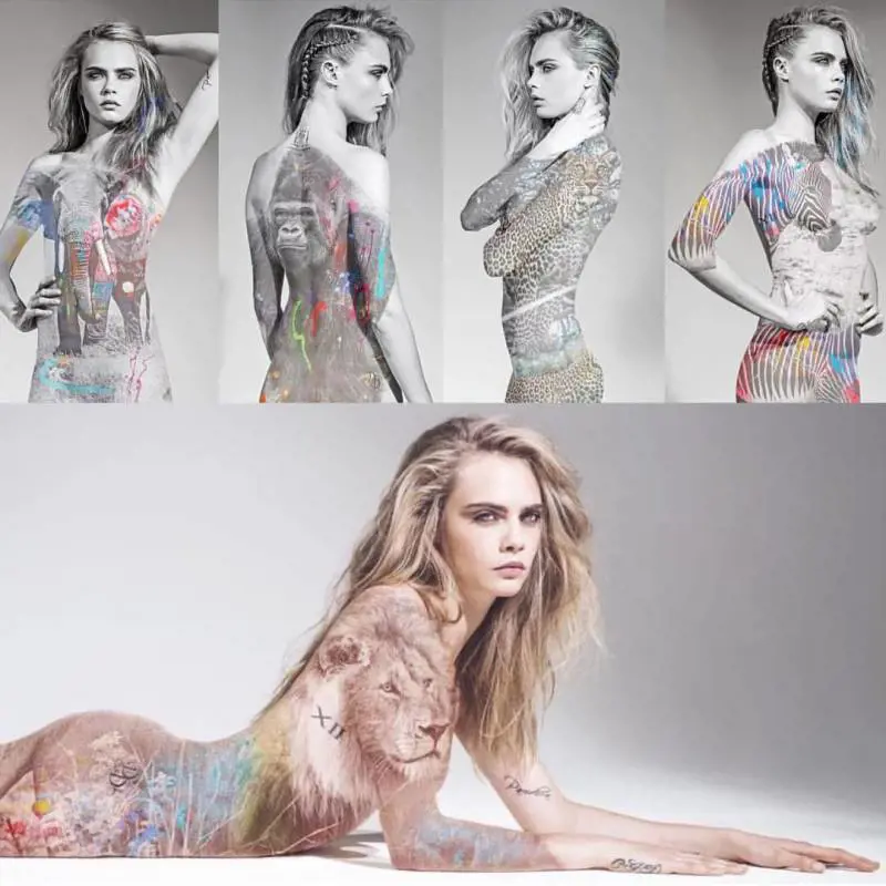 Immagine gallery