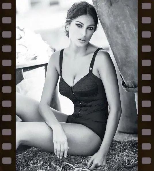 Immagine gallery