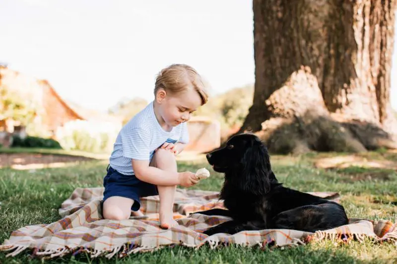 Animalisti e utenti social contro George per questa foto: "Meriti il carcere"
