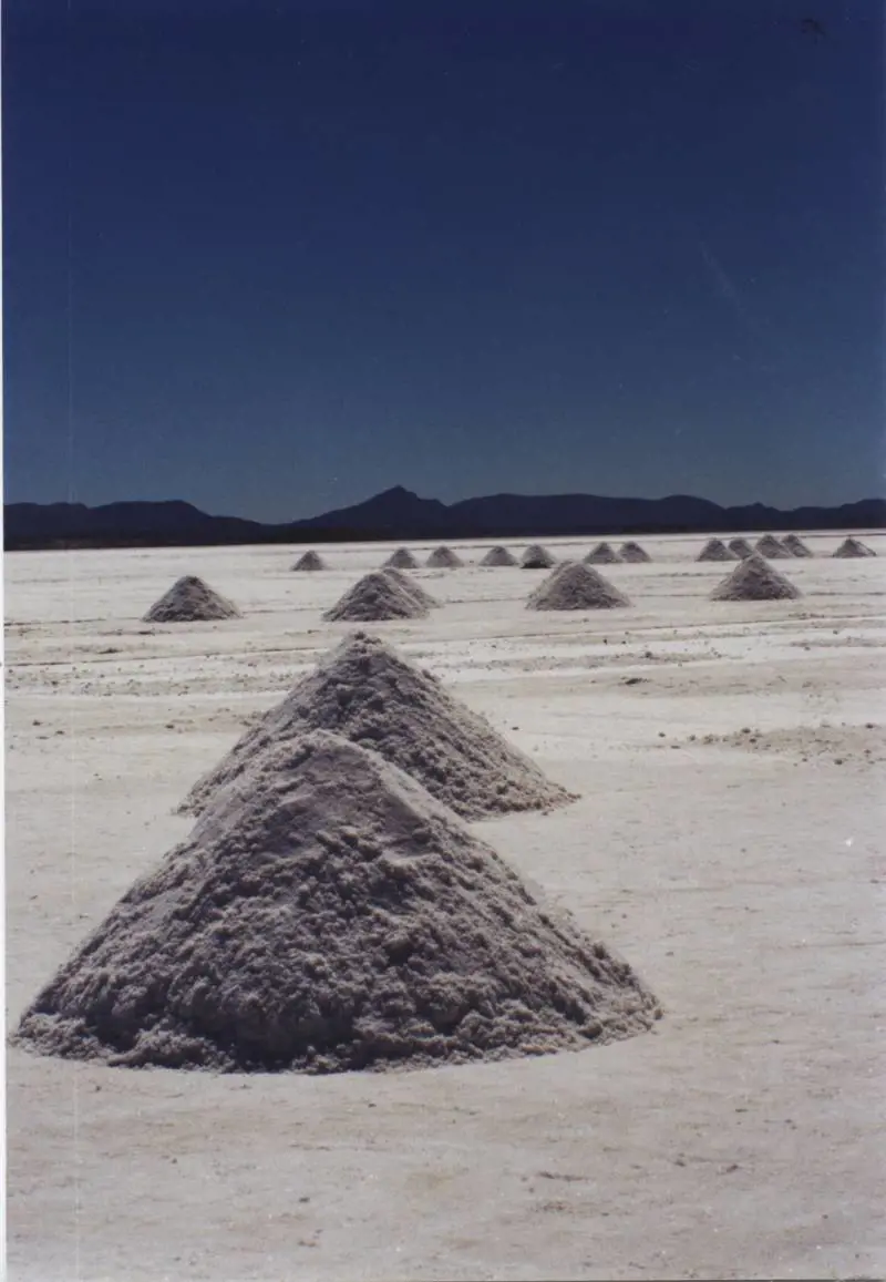 Una ricercatrice italiana è morta in un incidente d'auto in Bolivia