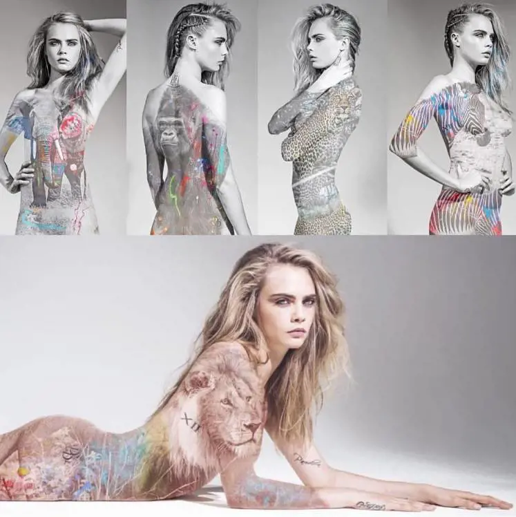 Immagine gallery