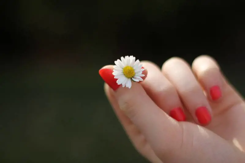 Make up e bellezza bio: ecco il nuovo trend