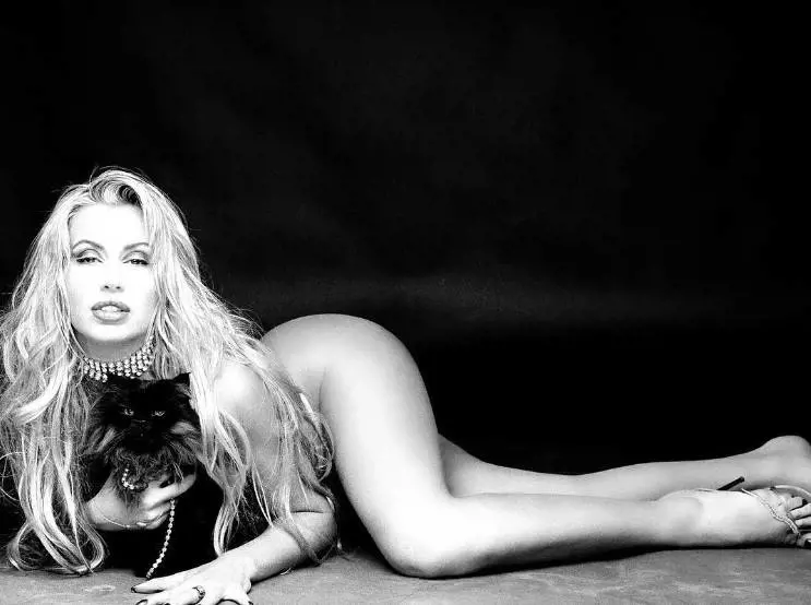 Immagine gallery