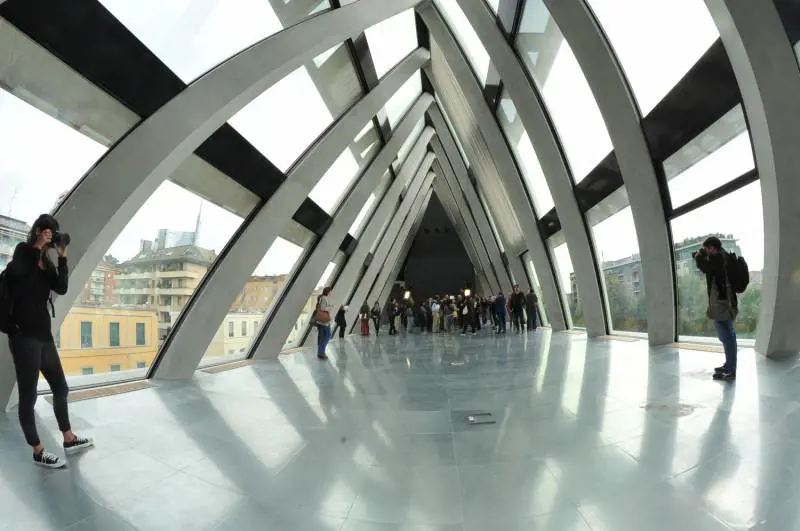 Immagine gallery