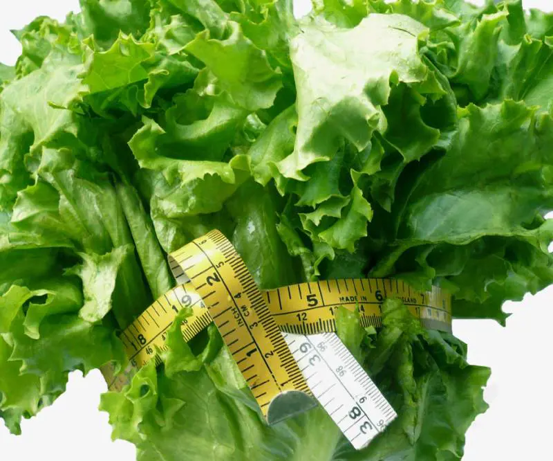 Dieta: gli alimenti che fanno bene e aiutano a dimagrire