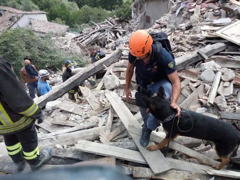 Decreto sisma, pochi aiuti per i terremotati L'ira degli azzurri