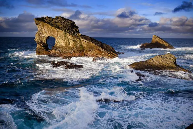 Immagine gallery