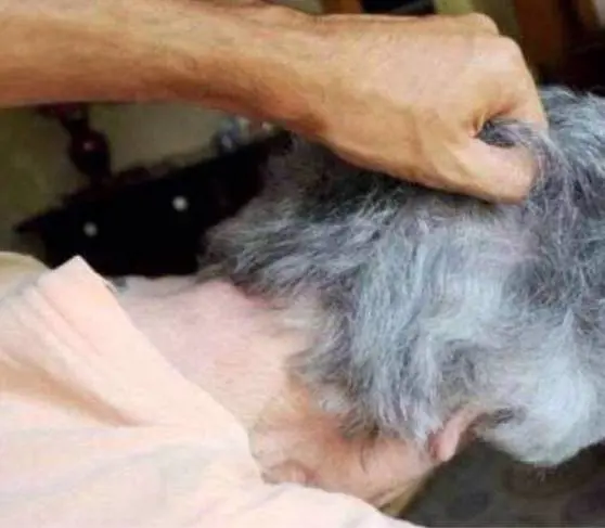 Salerno, maltrattavano anziani in casa di riposo: 18 indagati