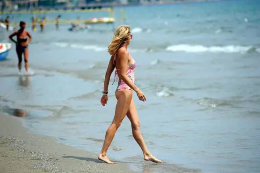 Immagine gallery