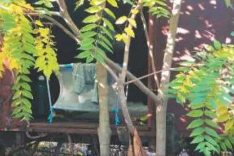 Ecco la Milano "smart": un vagone come culla  tra rovine e miseria