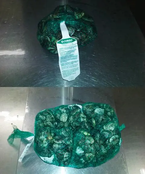 Uno dei lotti di vongole ritirate