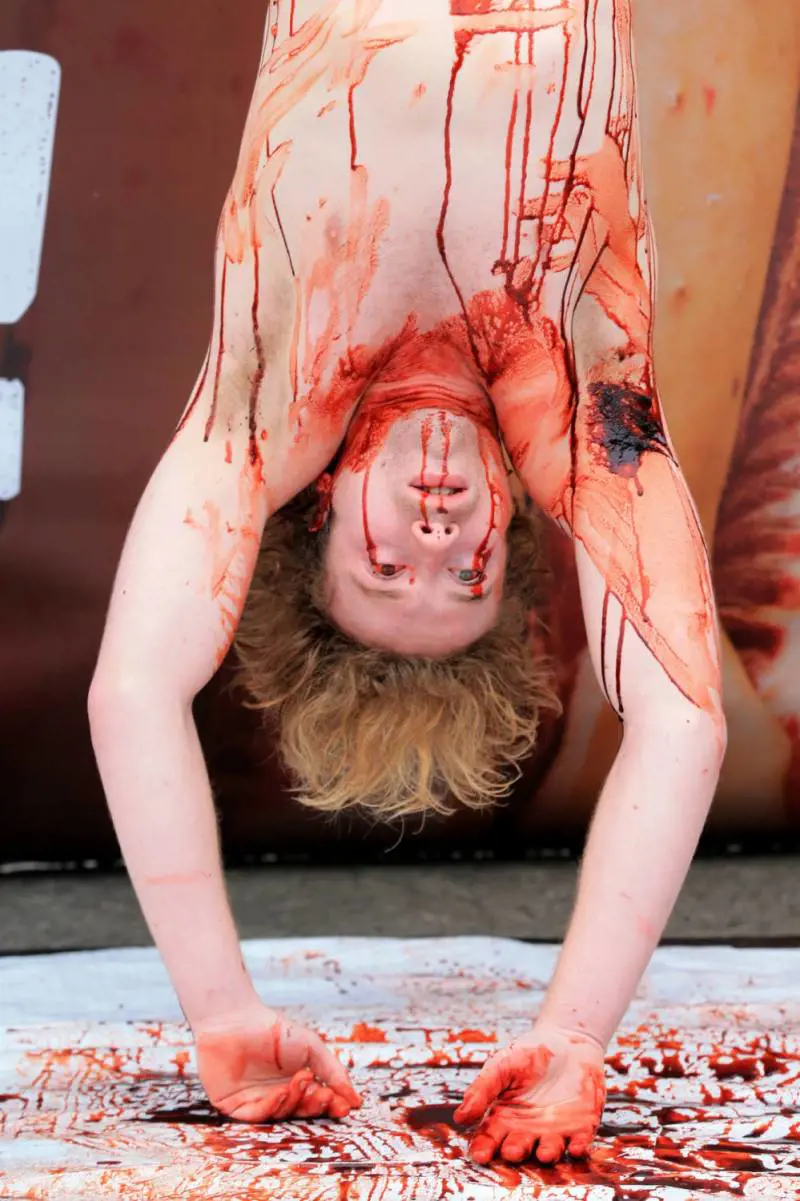 Immagine gallery