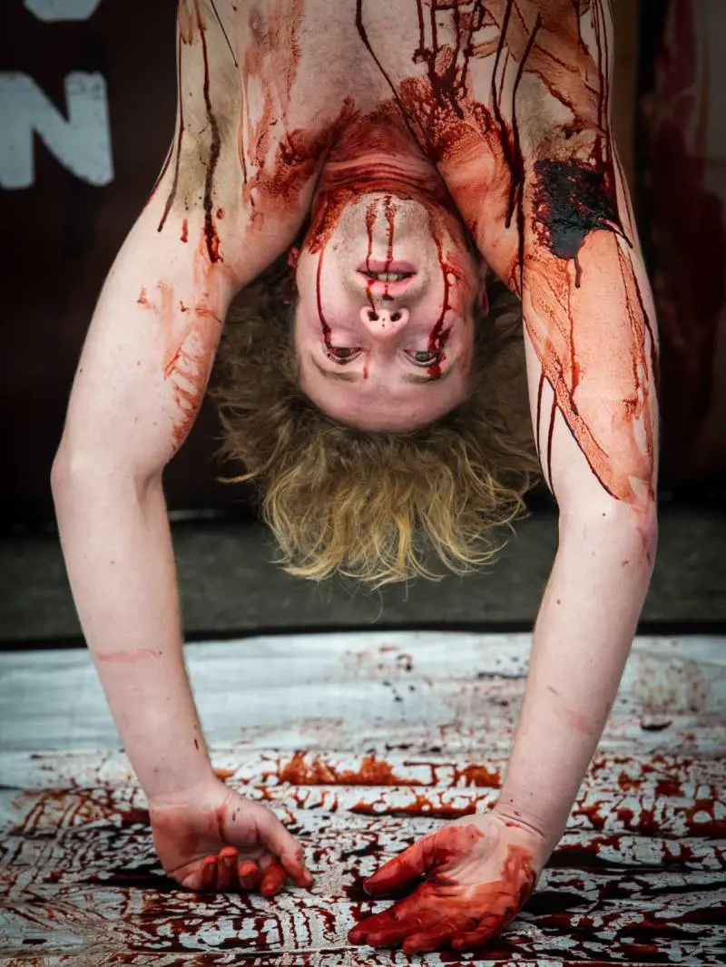 Immagine gallery