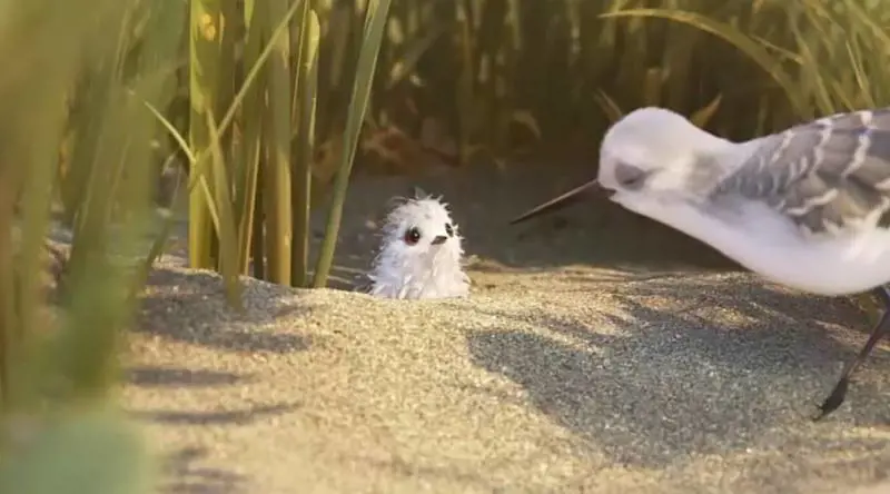 Piper, il nuovo corto della Pixar aiuta a sconfiggere le paure