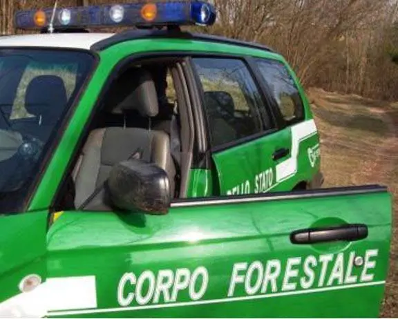 Poliziotto in congedo per motivi familiari: girava film porno a Miami