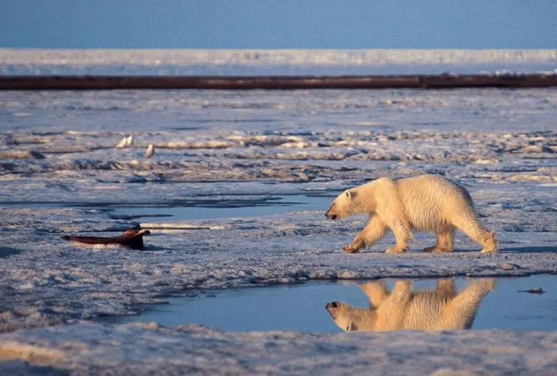 "Le temperature si alzeranno di 7 gradi centigradi. Ci sarà un game over"