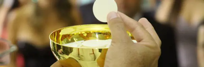 Vaticano, a messa pane e vino siano "doc"
