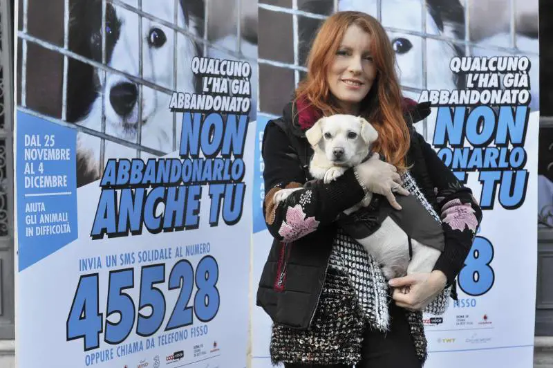 Brambilla salva i cani abbandonati: "Scrivi il lieto fine di una storia triste"