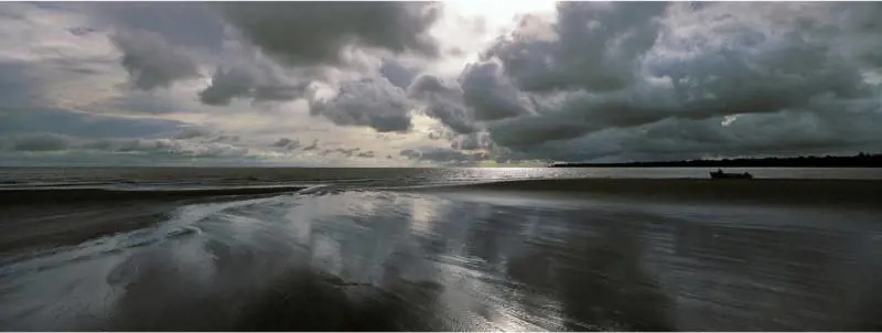 Immagine gallery