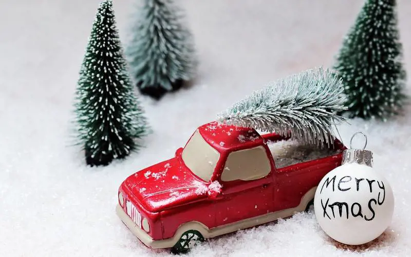 Come trasportare l'albero di Natale evitando le multe e in sicurezza