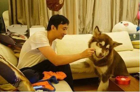 "Non voglio vivere come te": il ragazzo più ricco della Cina rifiuta l'eredità del padre