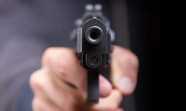L'Italia con la pistola. Milano e Torino le più armate